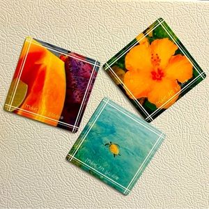 Hawai’i Magnetic Art Trio